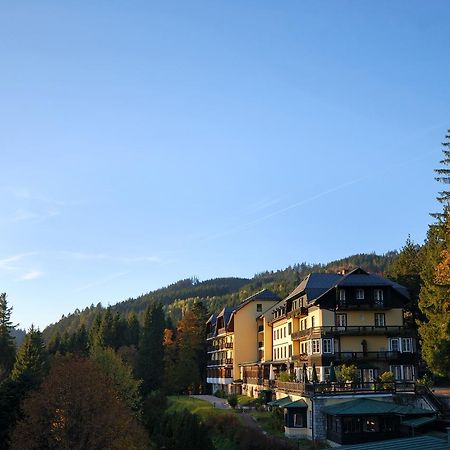 Alpenhotel Goesing Puchenstuben Exterior photo